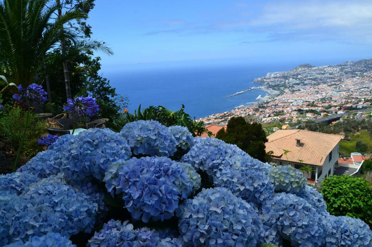 Villa Holiday House 4 You à Funchal  Extérieur photo